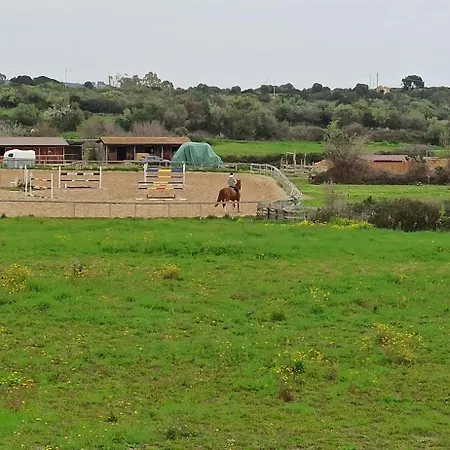 Διαμέρισμα La Casa Di Amalia *