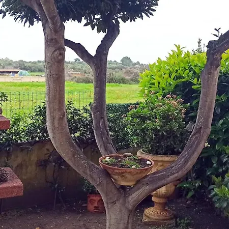 La Casa Di Amalia Budoni